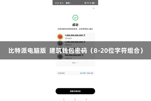 比特派电脑版 建筑钱包密码(8-20位字符组合)