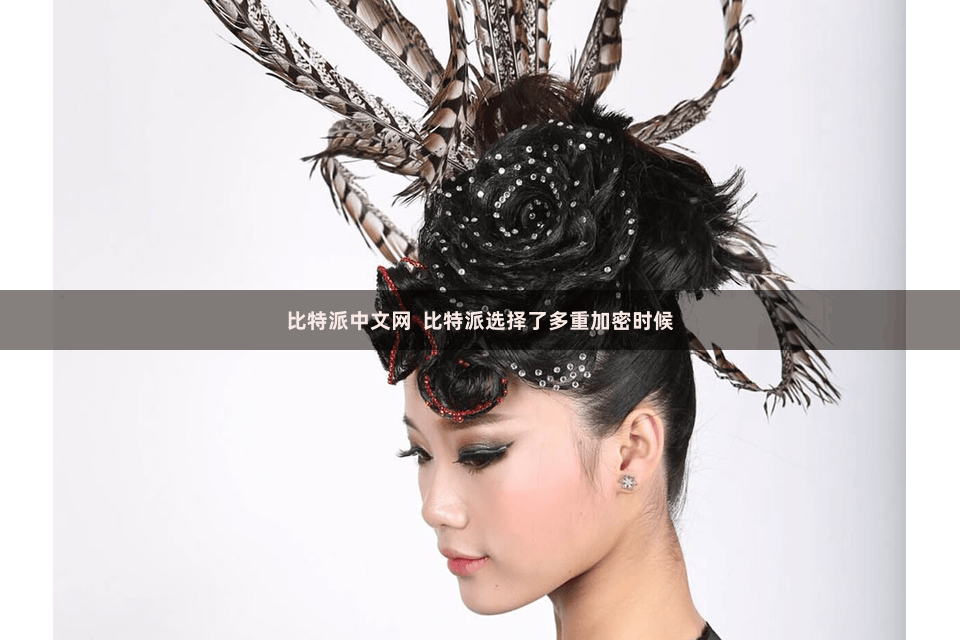 比特派中文网 比特派选择了多重加密时候