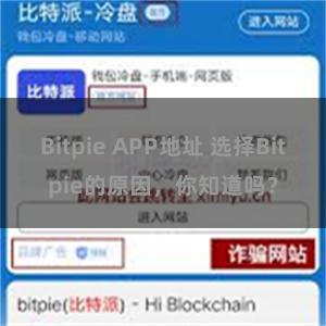 Bitpie APP地址 选择Bitpie的原因，你知道吗？