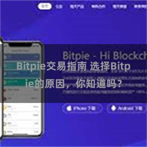 Bitpie交易指南 选择Bitpie的原因，你知道吗？