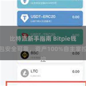 比特派新手指南 Bitpie钱包安全可靠，资产100%自主掌控