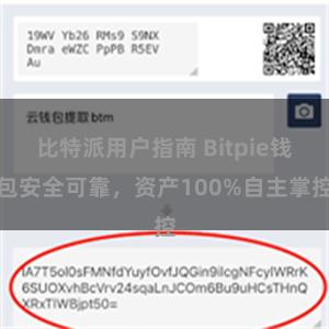 比特派用户指南 Bitpie钱包安全可靠，资产100%自主掌控