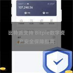 比特派支持 Bitpie数字资产安全保障指南