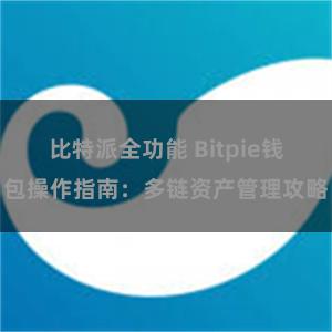 比特派全功能 Bitpie钱包操作指南：多链资产管理攻略