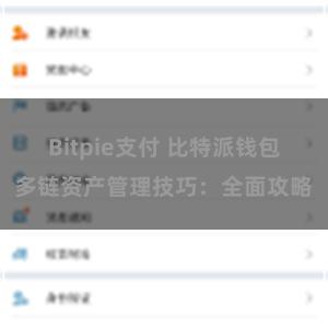 Bitpie支付 比特派钱包多链资产管理技巧：全面攻略