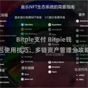 Bitpie支付 Bitpie钱包使用技巧：多链资产管理全攻略