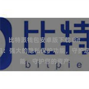 比特派钱包安卓版下载 Bitpie钱包：强大的隐私保护功能，守护您的资产