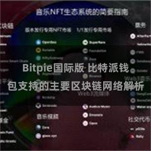 Bitpie国际版 比特派钱包支持的主要区块链网络解析