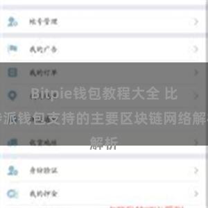 Bitpie钱包教程大全 比特派钱包支持的主要区块链网络解析