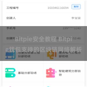 Bitpie安全教程 Bitpie钱包支持的区块链网络解析