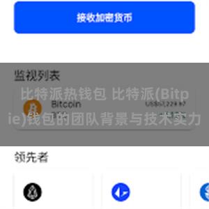 比特派热钱包 比特派(Bitpie)钱包的团队背景与技术实力