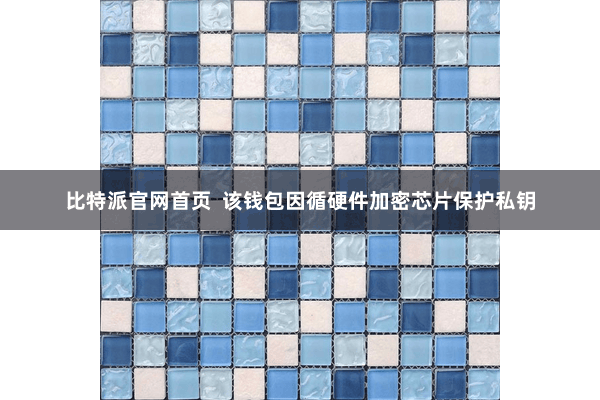 比特派官网首页  该钱包因循硬件加密芯片保护私钥